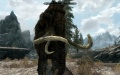 Skyrim Mamont.jpg